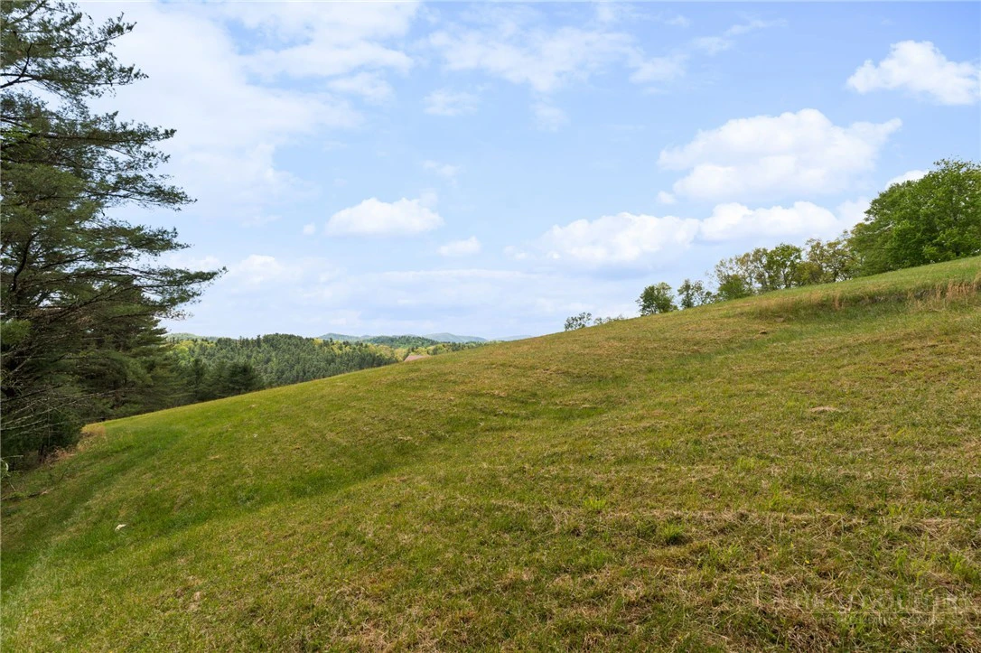 Image number 12 for the current listing