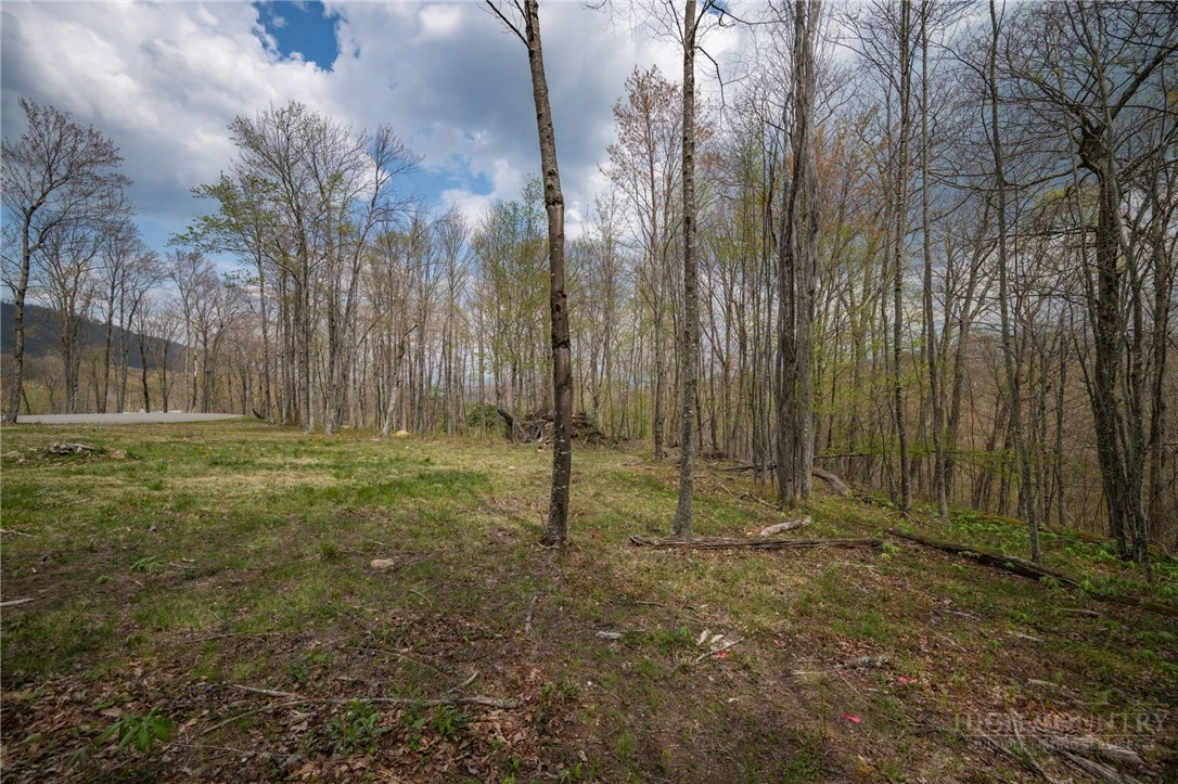 Image number 11 for the current listing