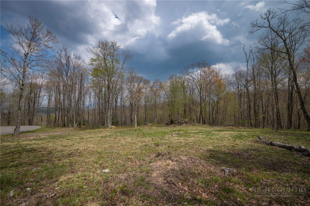 Image number 9 for the current listing