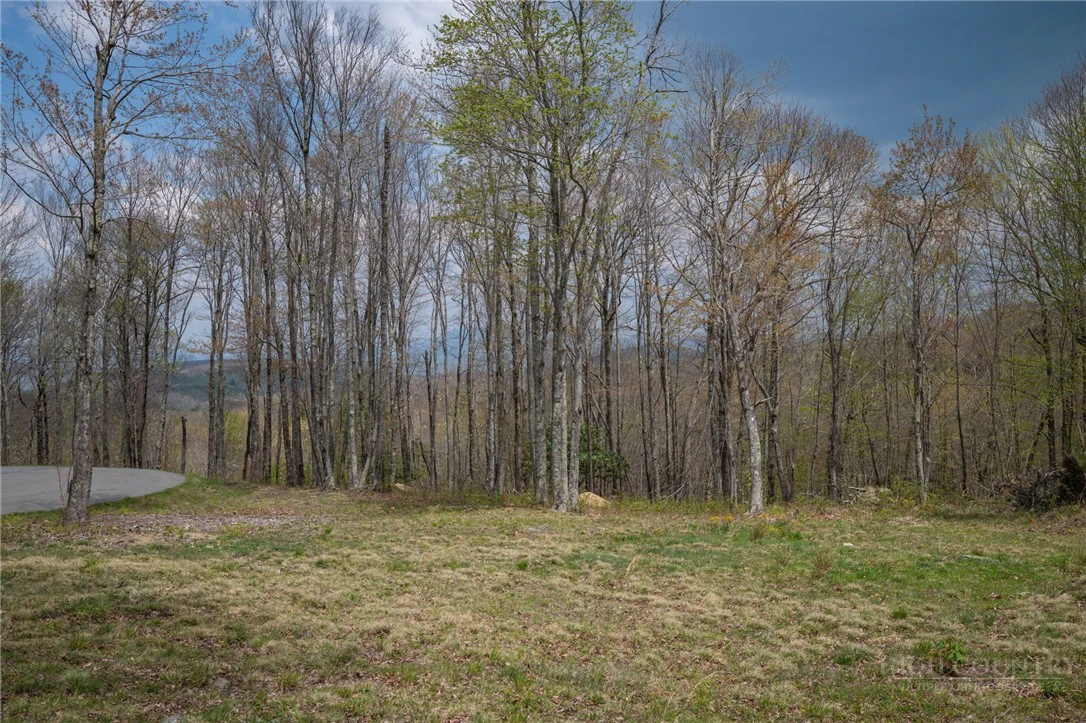 Image number 7 for the current listing