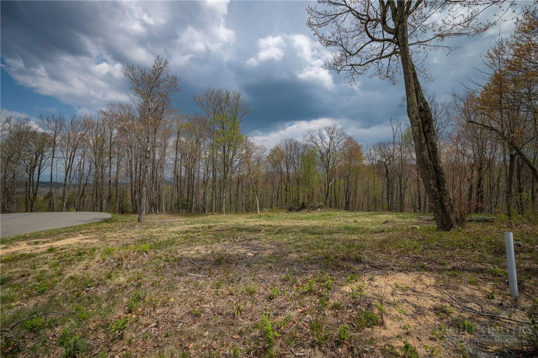 Image number 6 for the current listing