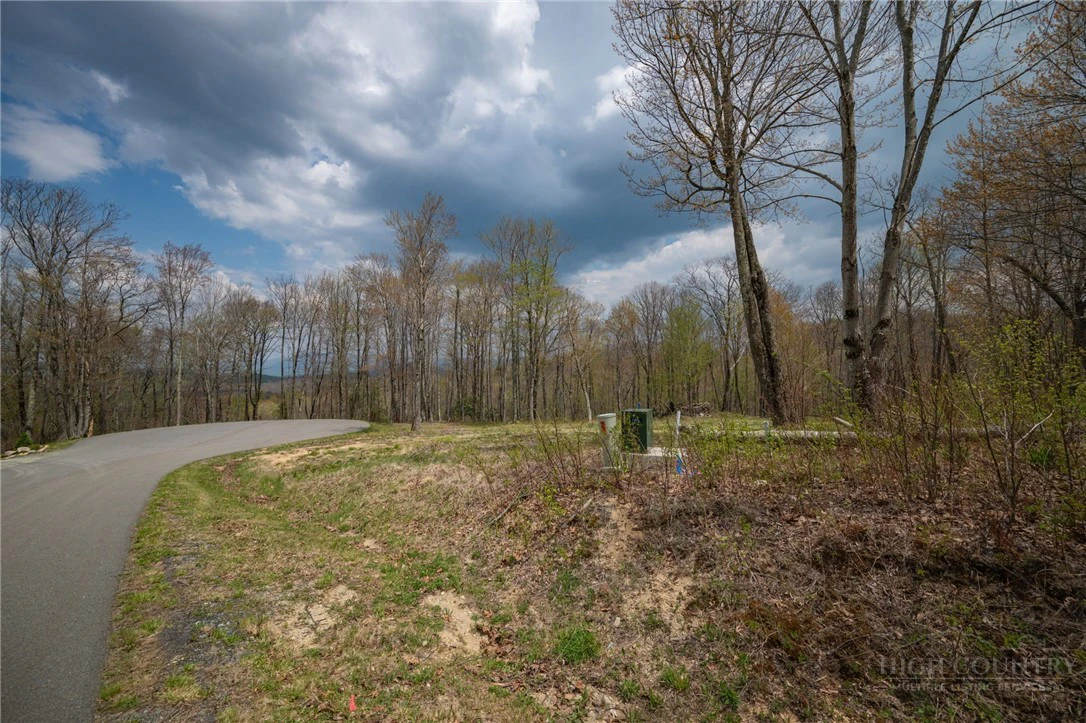 Image number 5 for the current listing