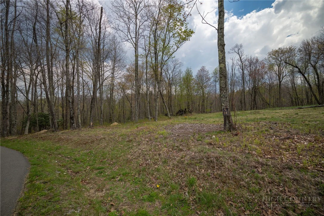 Image number 16 for the current listing