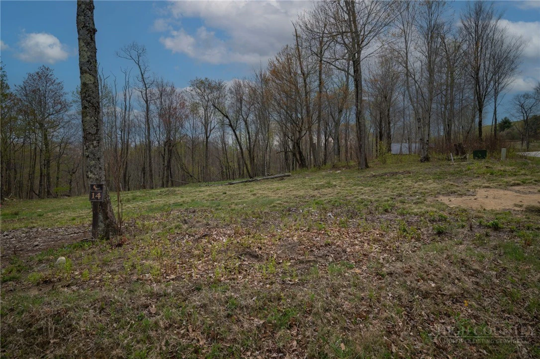Image number 2 for the current listing