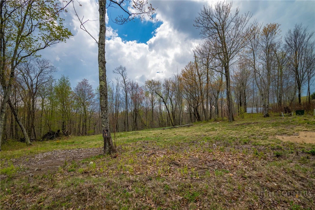 Image number 15 for the current listing