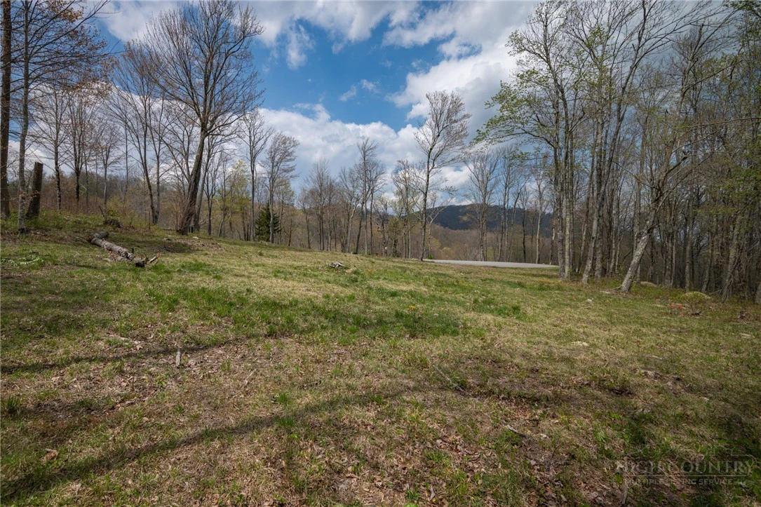 Image number 13 for the current listing