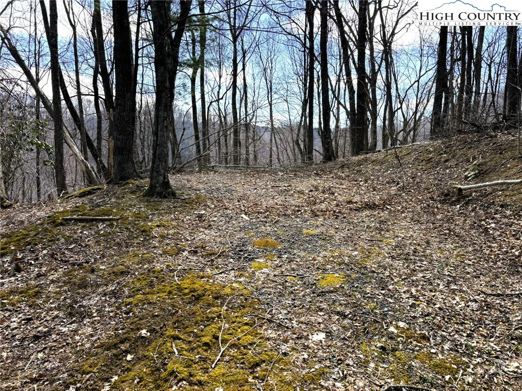Image number 1 for the current listing