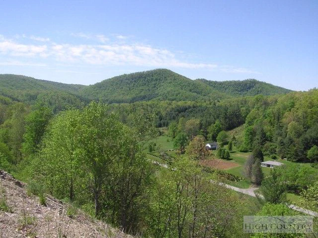 Image number 4 for the current listing