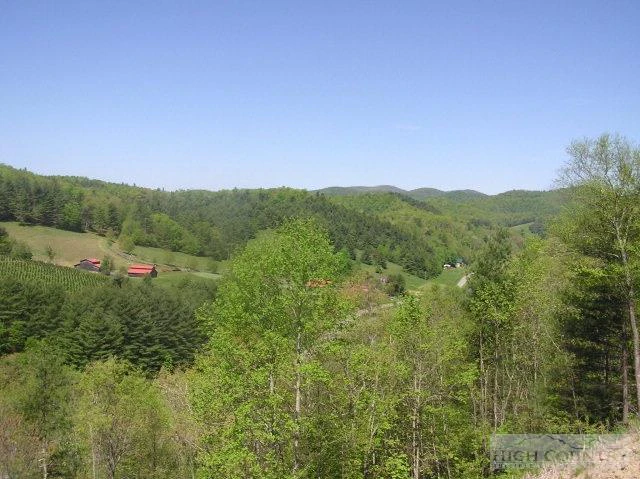 Image number 5 for the current listing