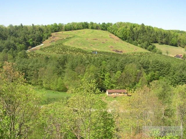 Image number 6 for the current listing