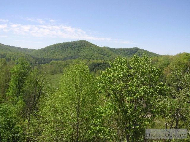 Image number 7 for the current listing