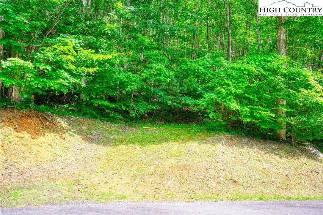 Image number 3 for the current listing