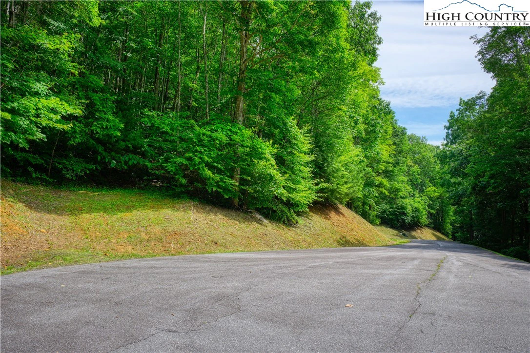 Image number 5 for the current listing