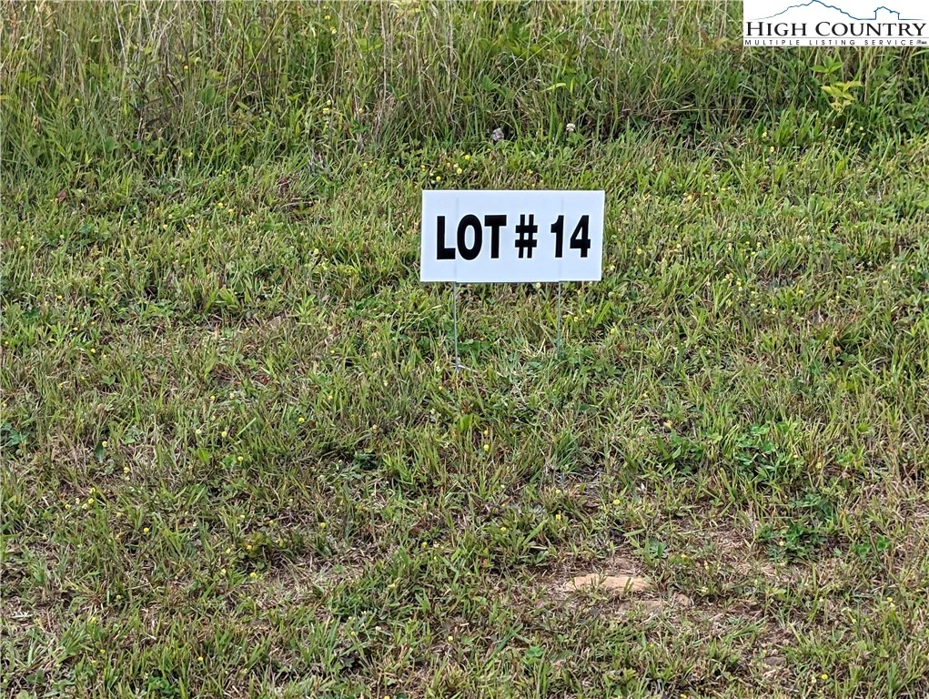 Image number 1 for the current listing