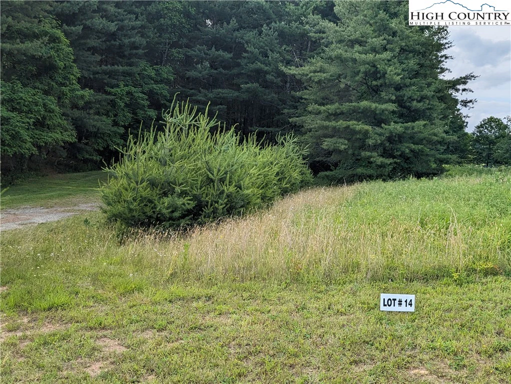 Image number 2 for the current listing