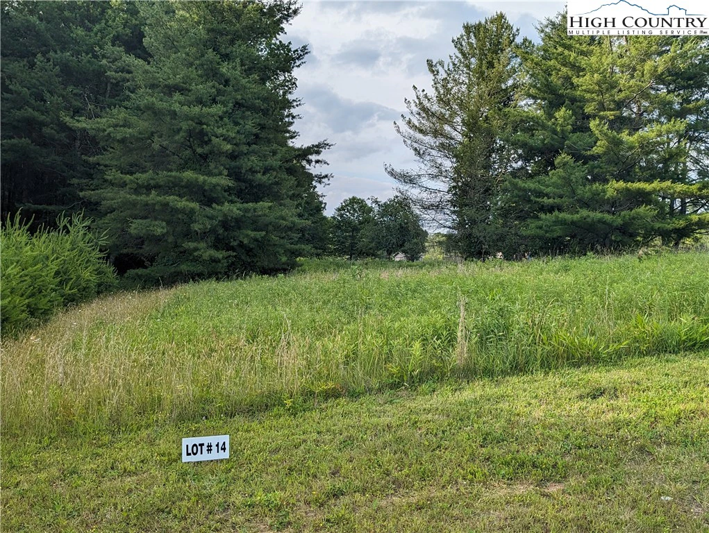 Image number 3 for the current listing