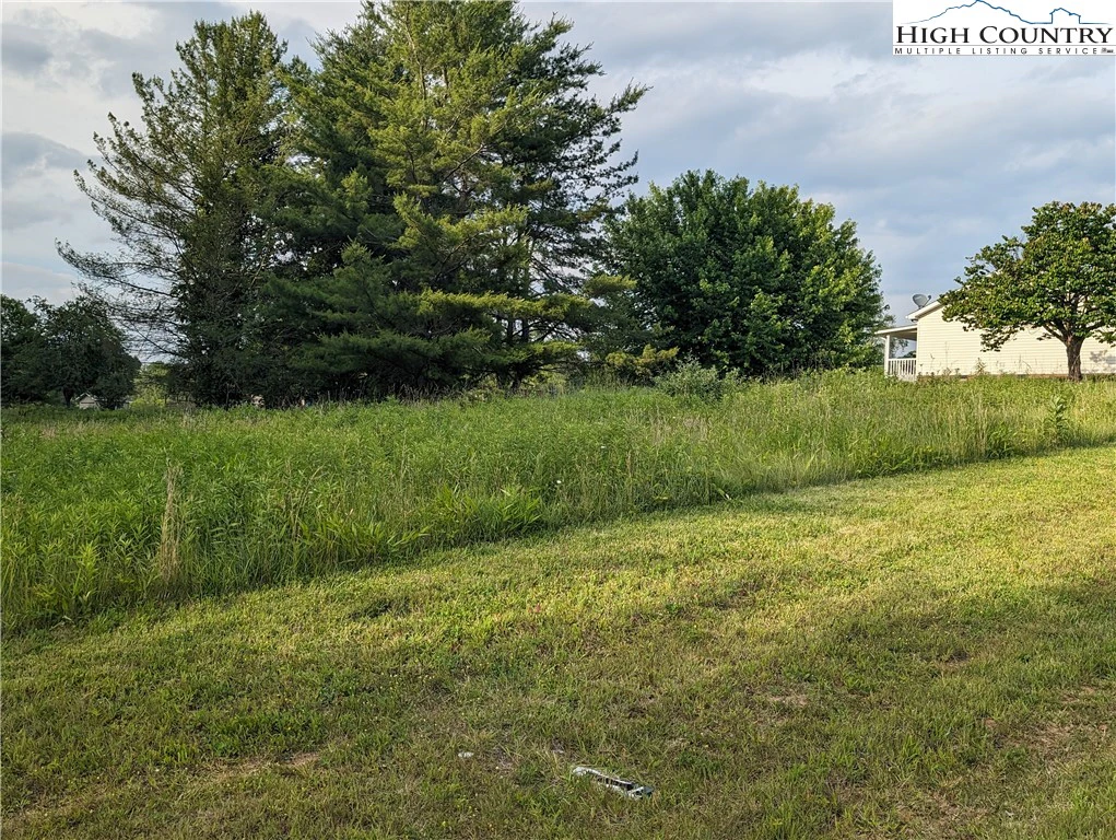 Image number 4 for the current listing