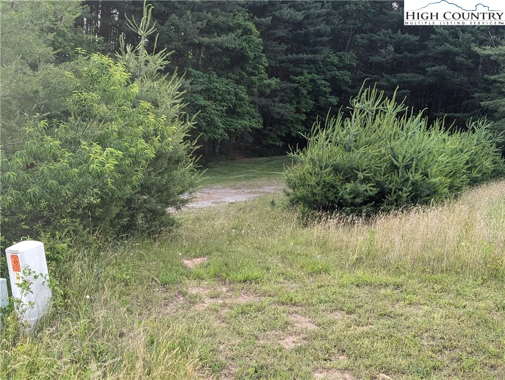 Image number 5 for the current listing