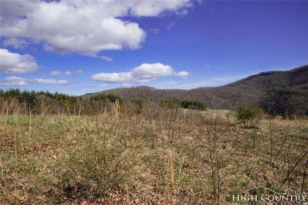 Image number 1 for the current listing