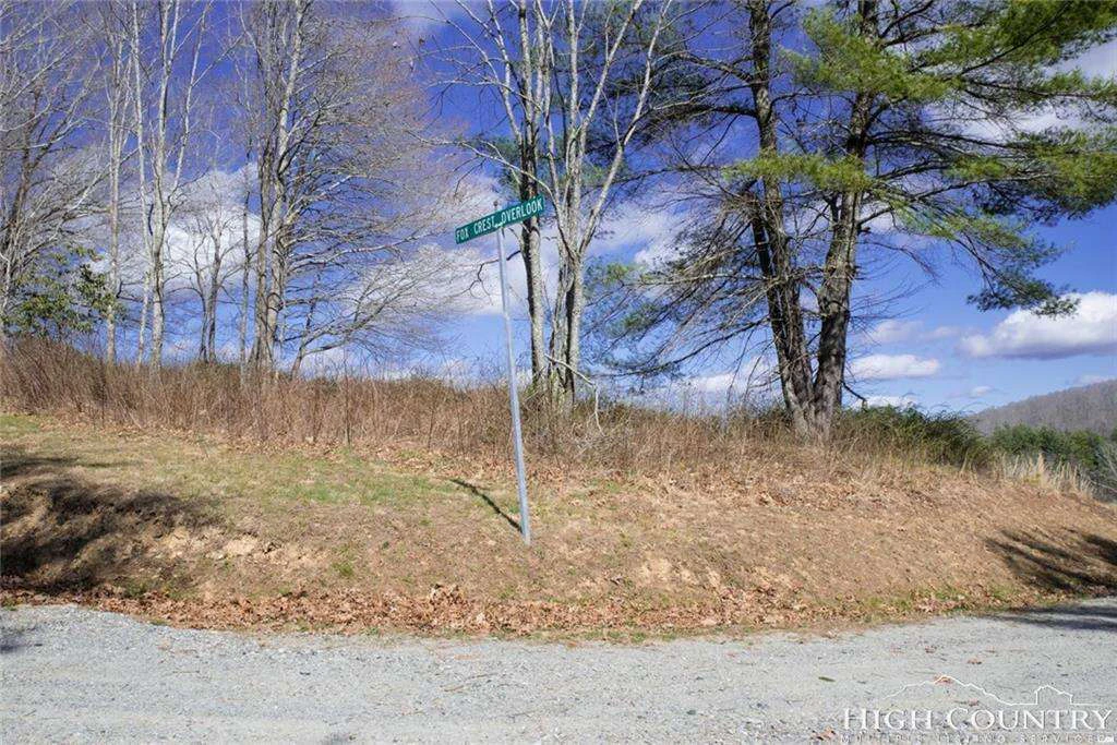 Image number 14 for the current listing