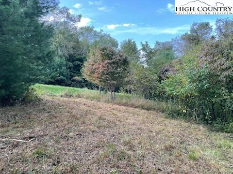 Image number 7 for the current listing