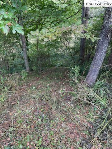 Image number 8 for the current listing