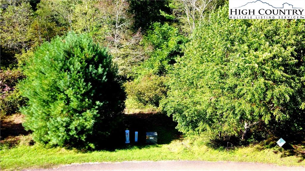 Image number 10 for the current listing
