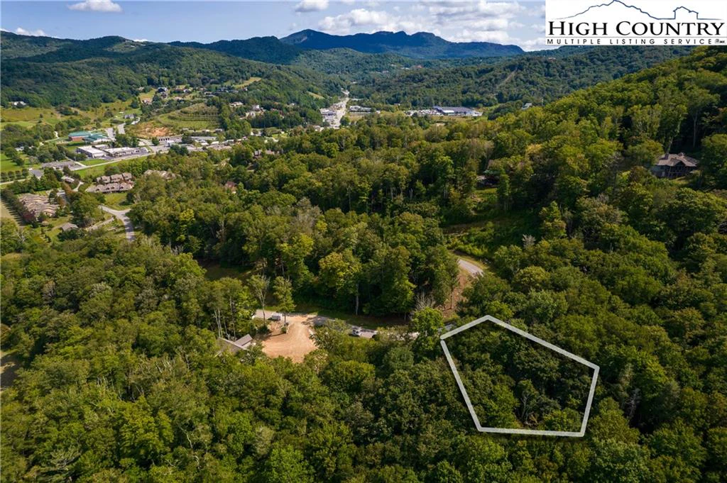 Image number 1 for the current listing