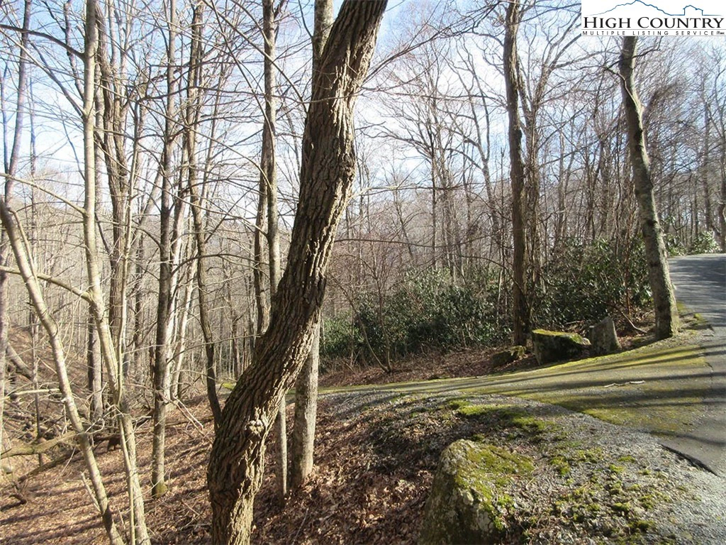 Image number 4 for the current listing
