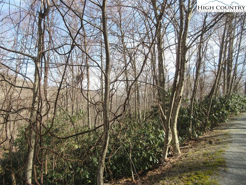 Image number 5 for the current listing