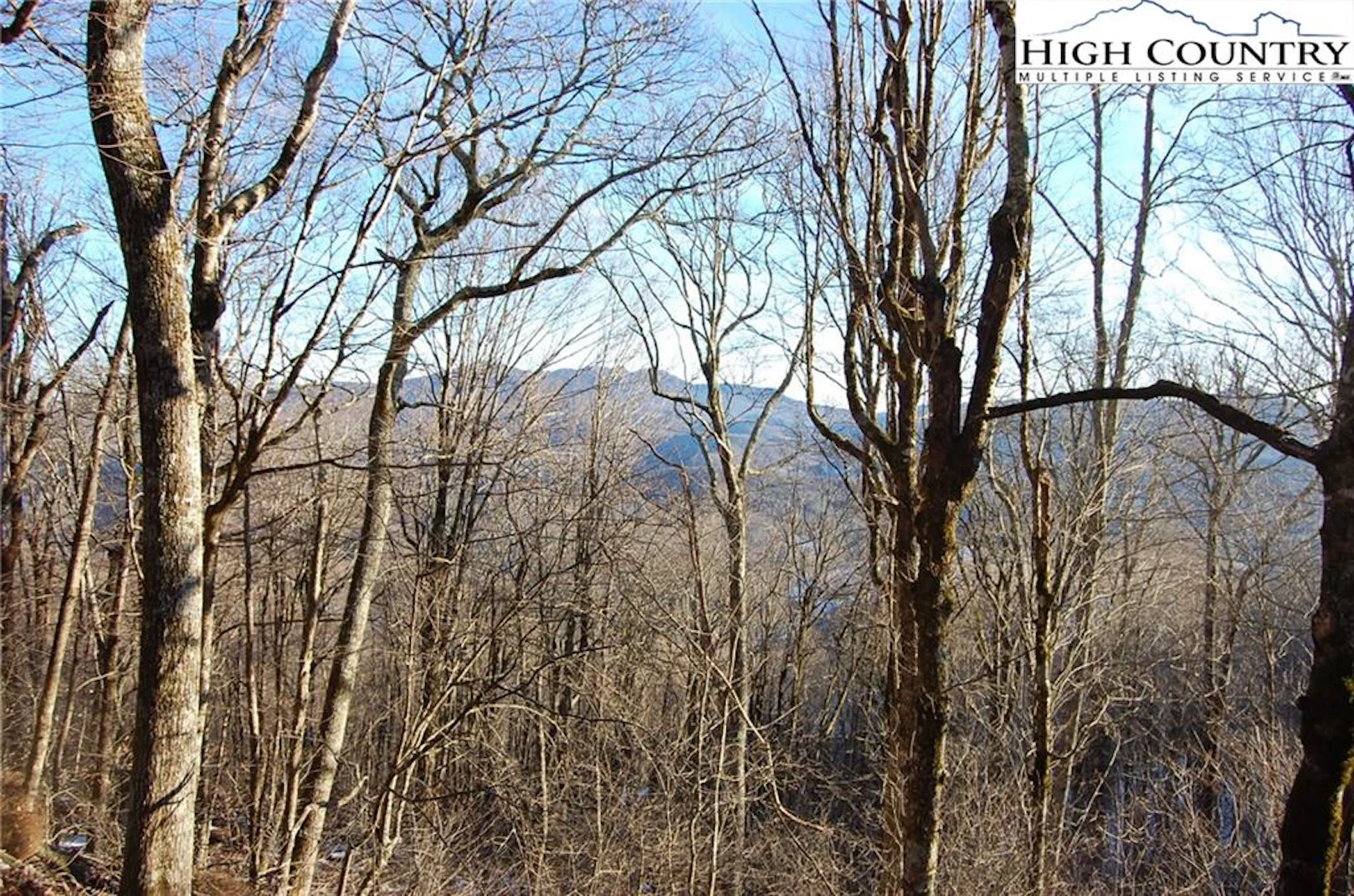 Image number 1 for the current listing