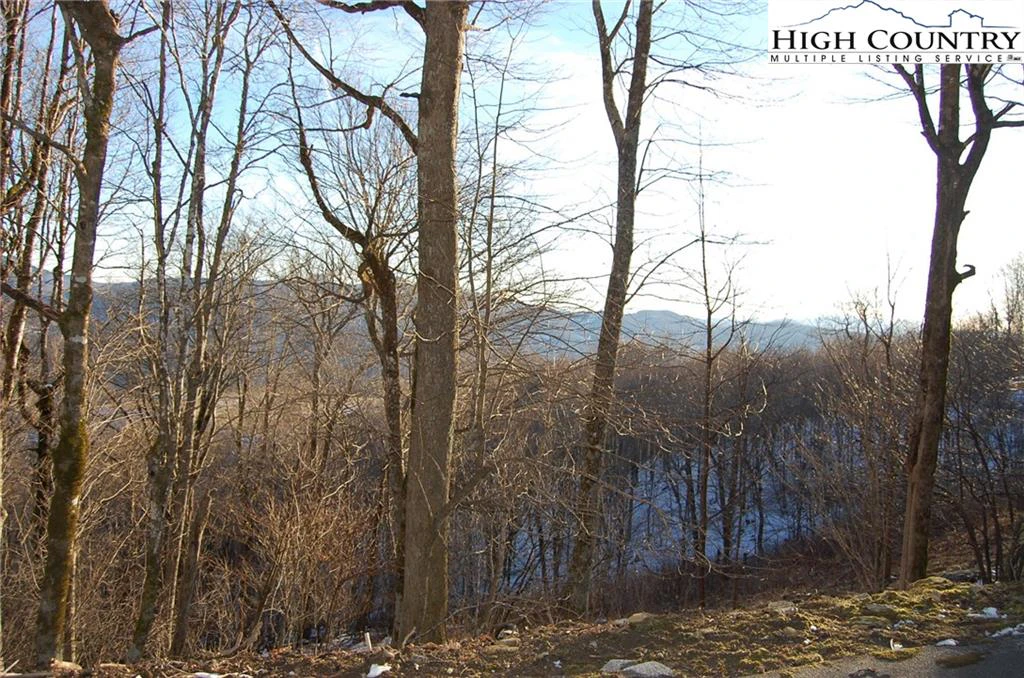 Image number 3 for the current listing