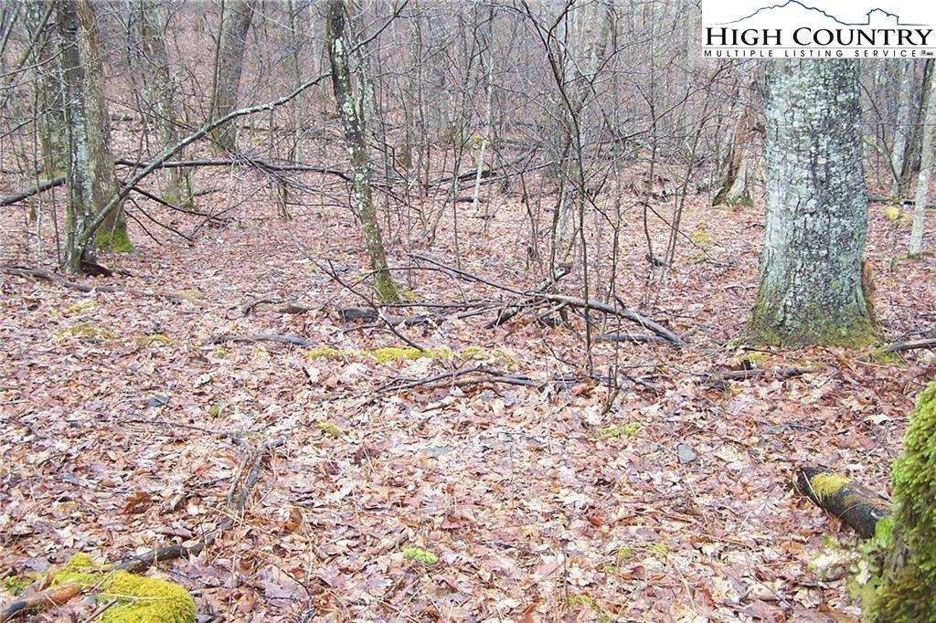 Image number 1 for the current listing