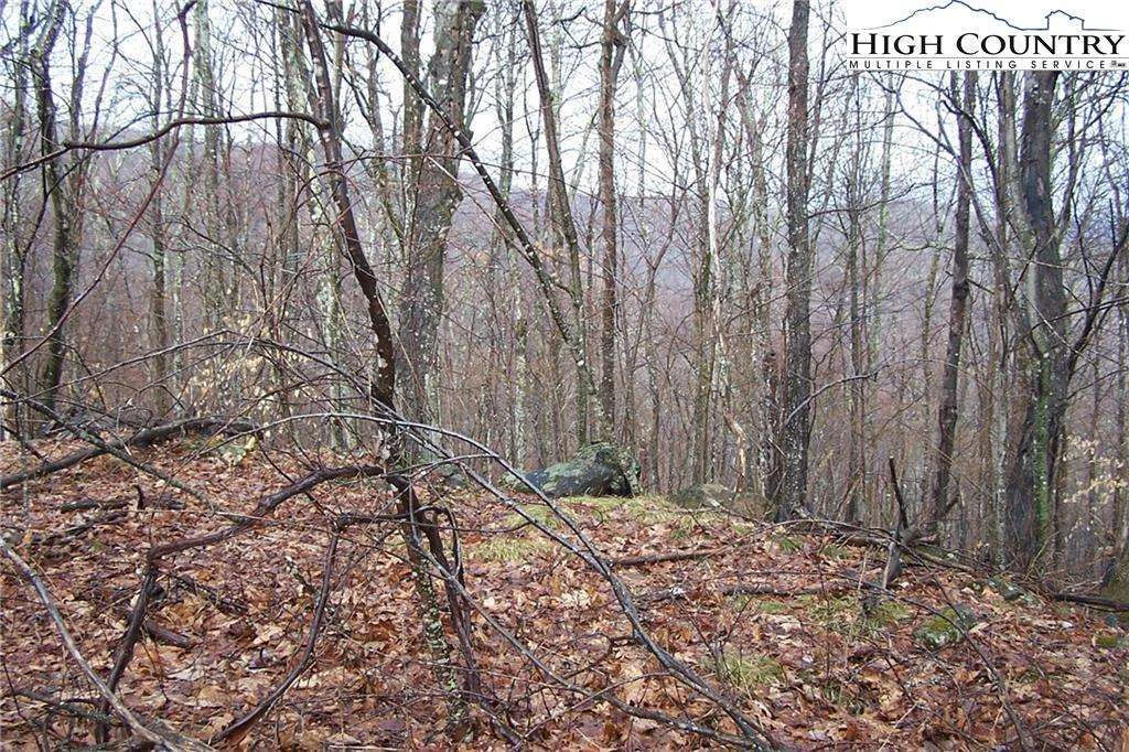 Image number 3 for the current listing