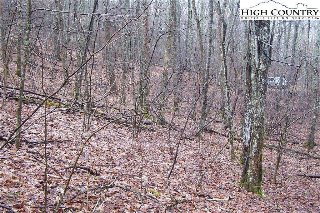 Image number 5 for the current listing