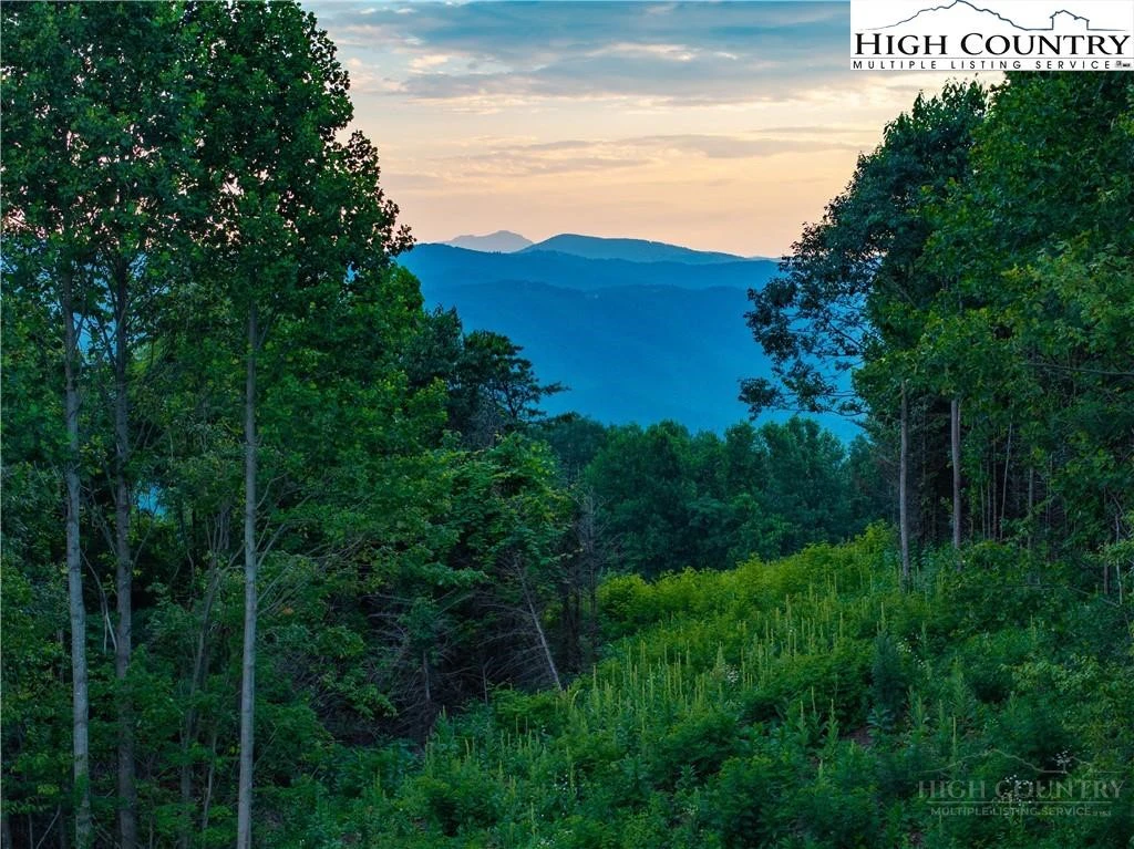 Image number 1 for the current listing