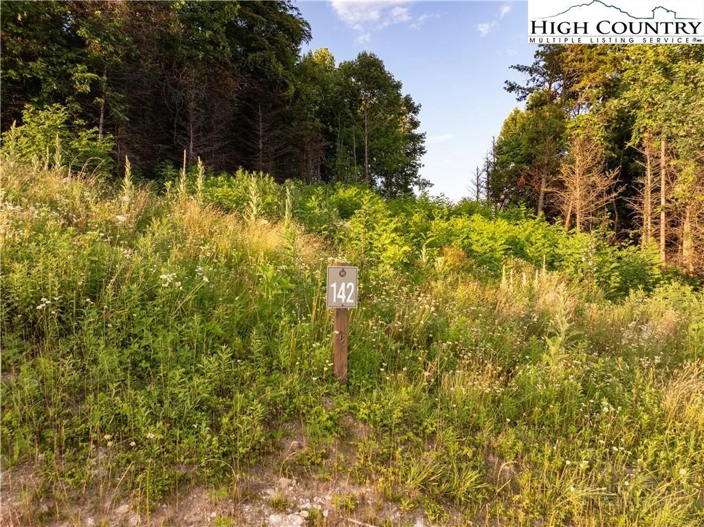 Image number 2 for the current listing