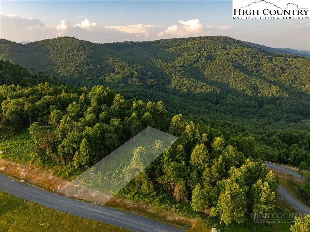 Image number 3 for the current listing