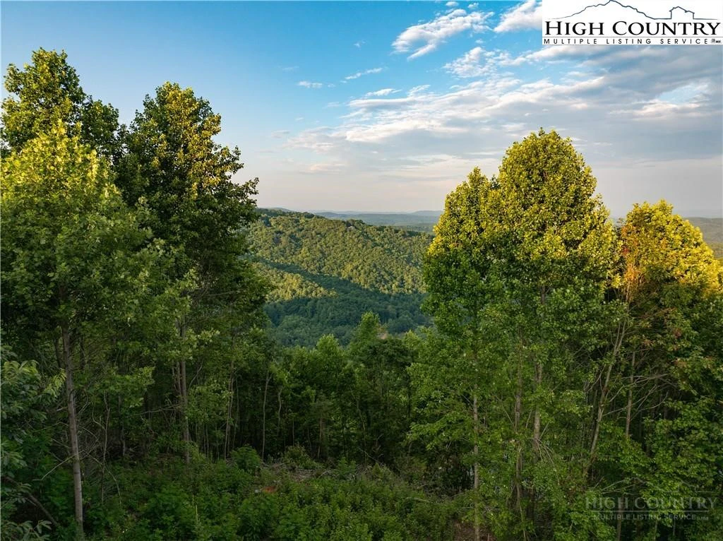 Image number 4 for the current listing