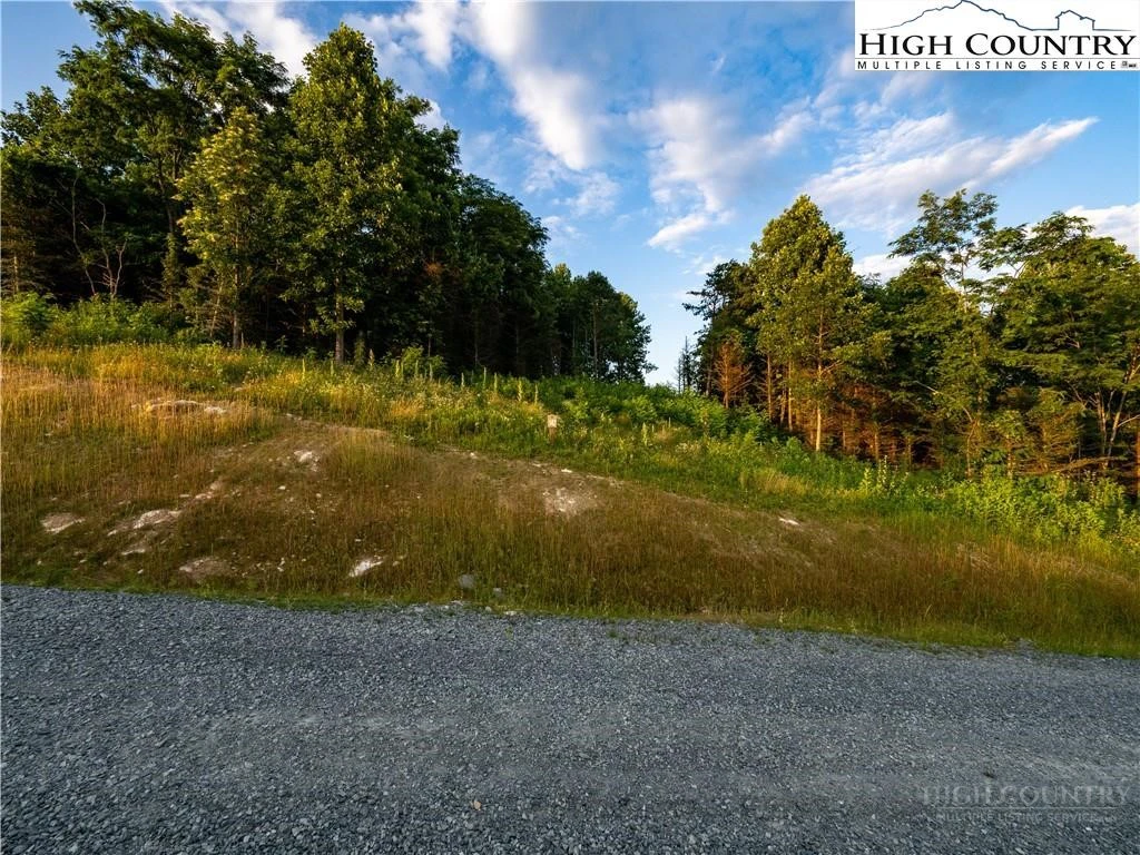 Image number 8 for the current listing