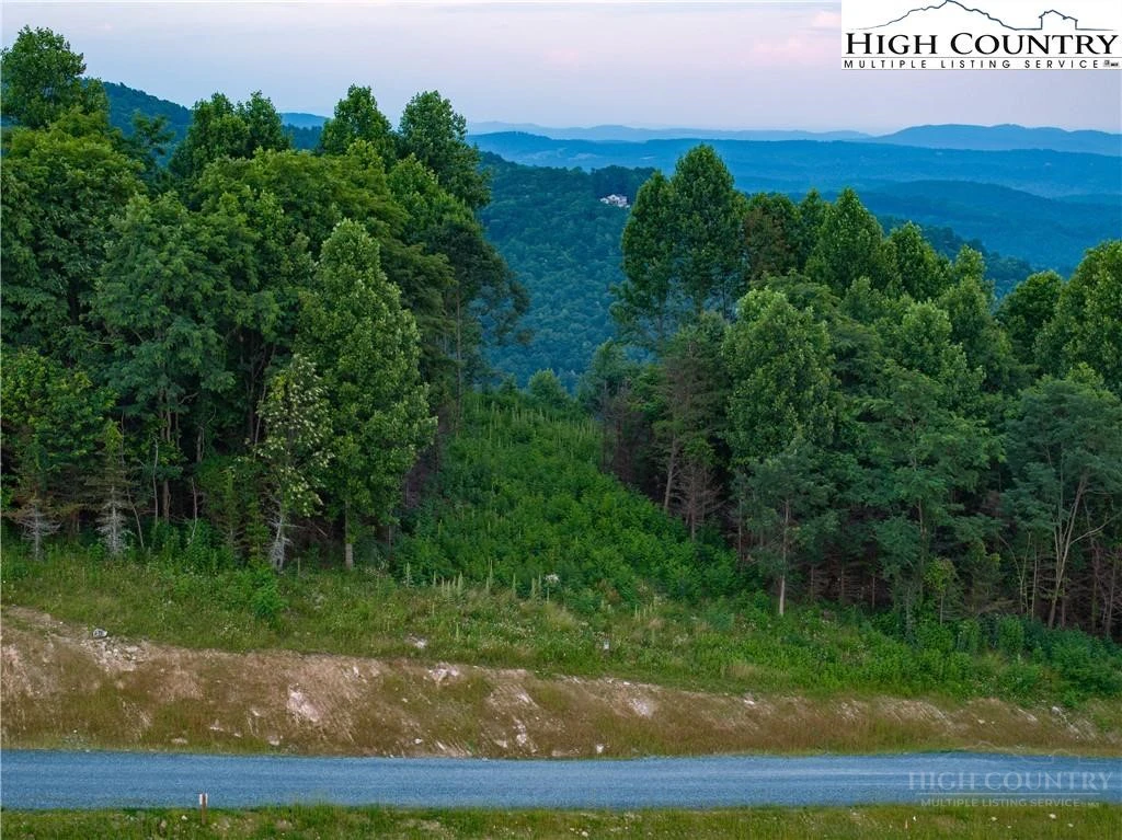 Image number 9 for the current listing