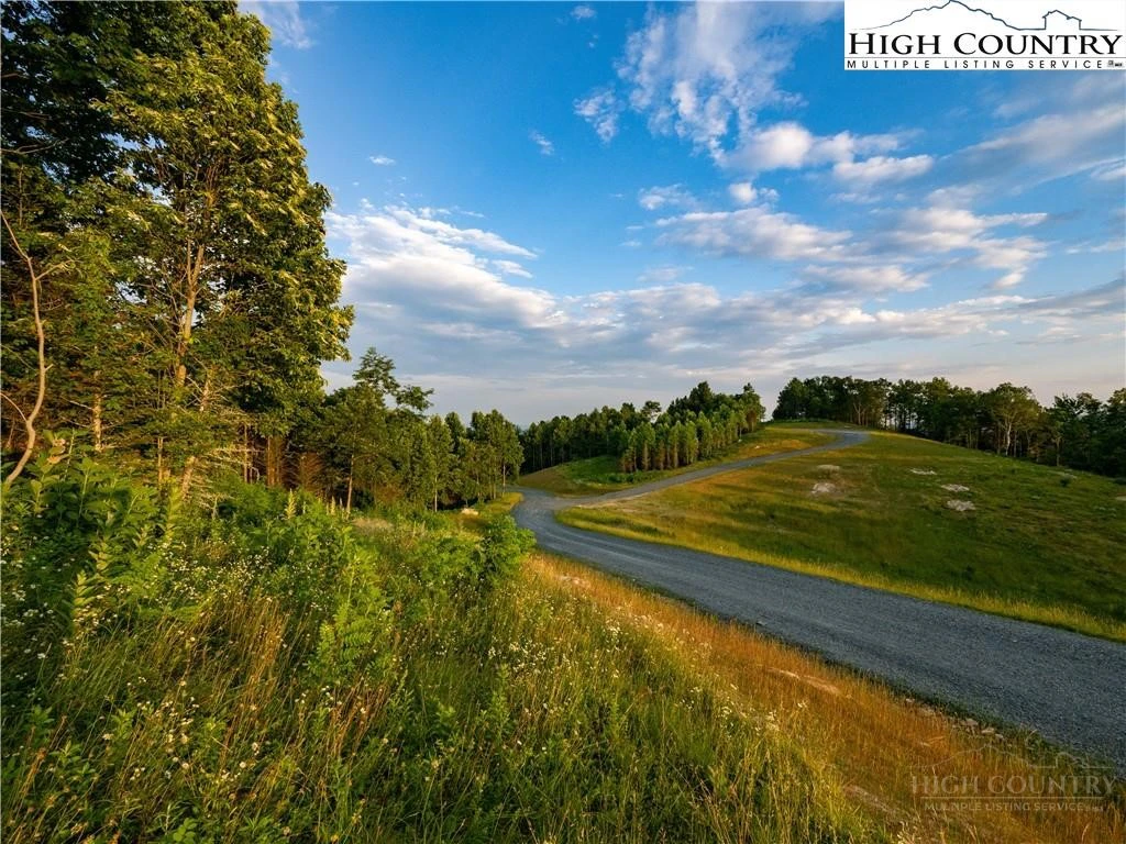 Image number 10 for the current listing