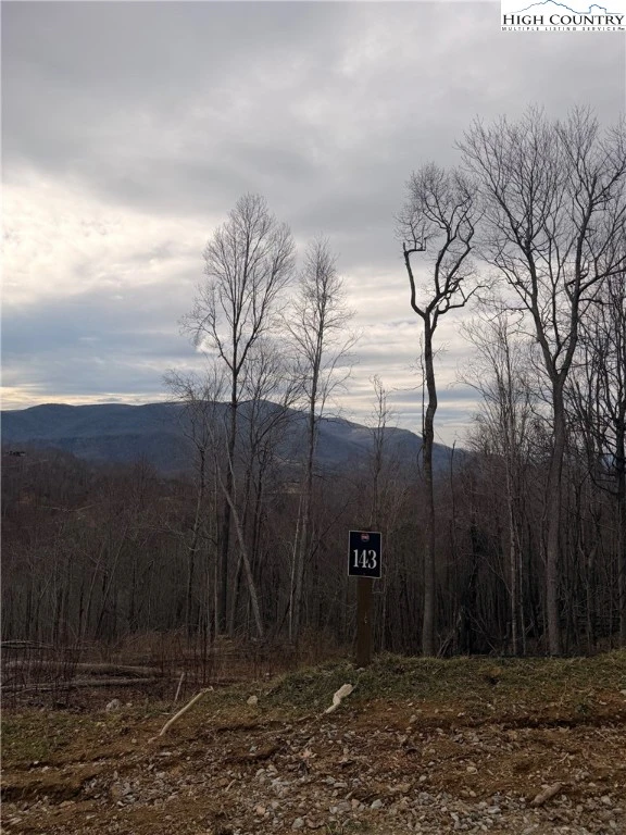 Image number 1 for the current listing