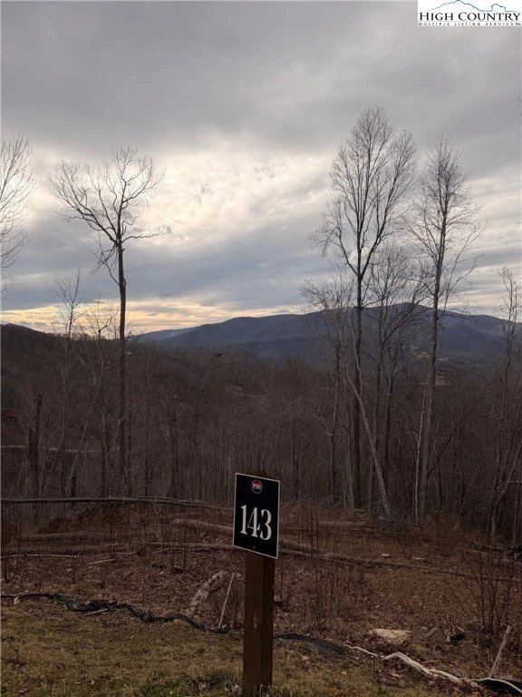 Image number 3 for the current listing