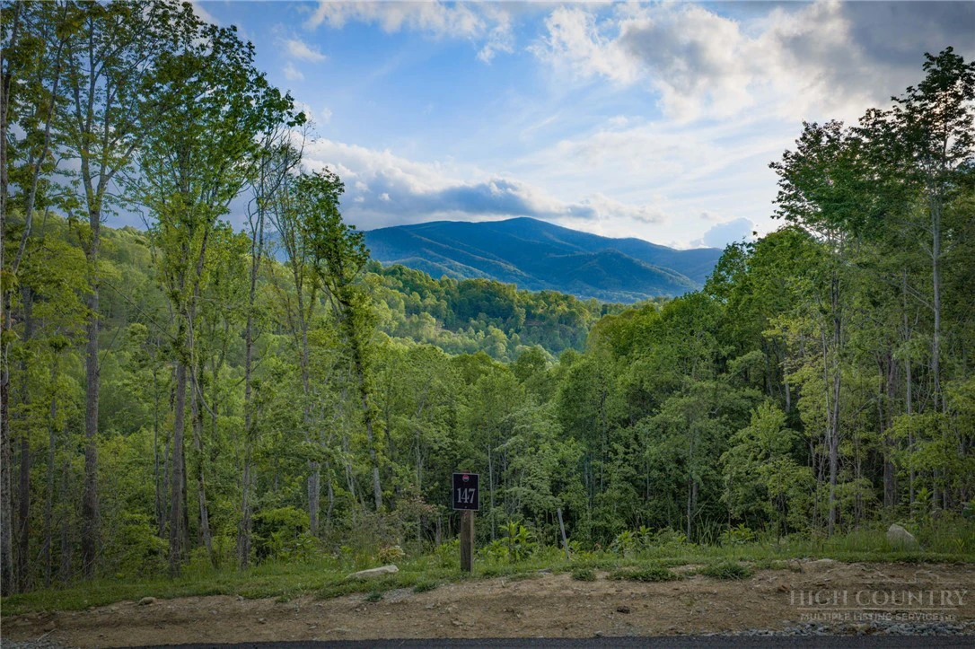 Image number 1 for the current listing