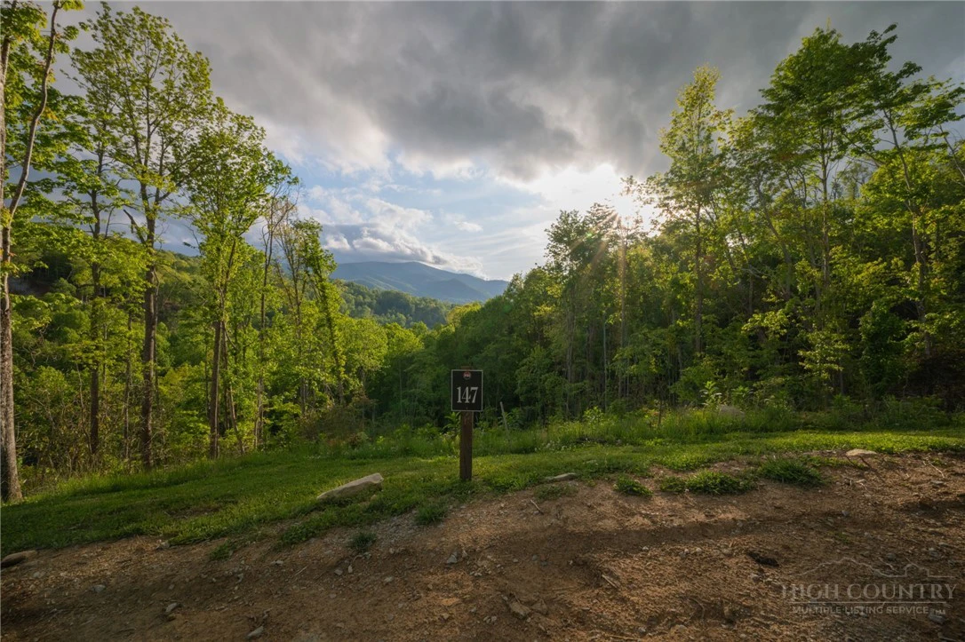 Image number 18 for the current listing
