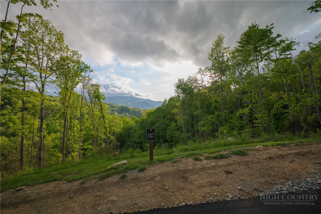 Image number 9 for the current listing