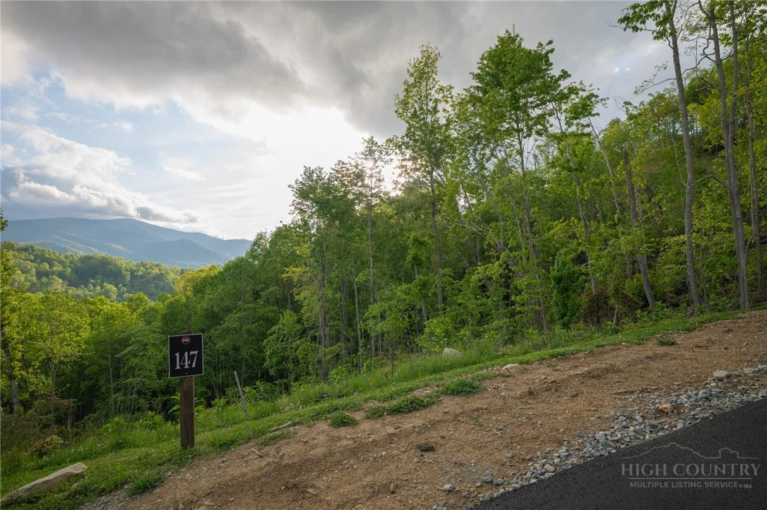 Image number 7 for the current listing