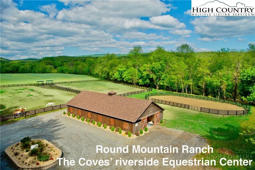 Image number 2 for the current listing