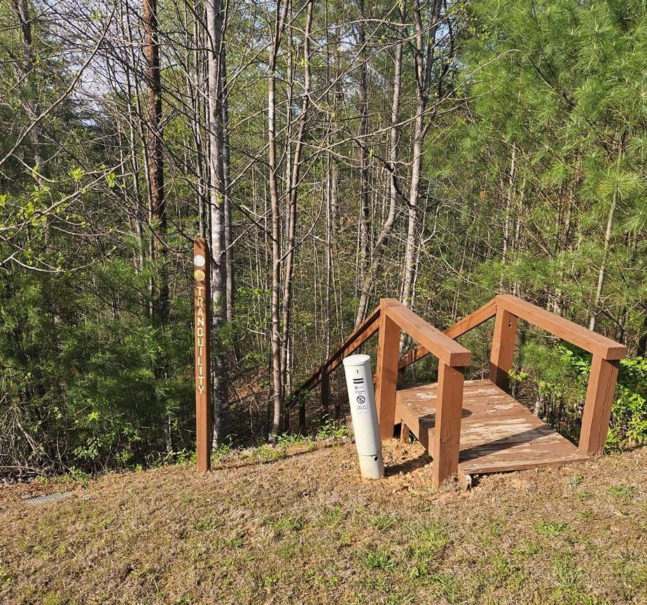 Image number 5 for the current listing